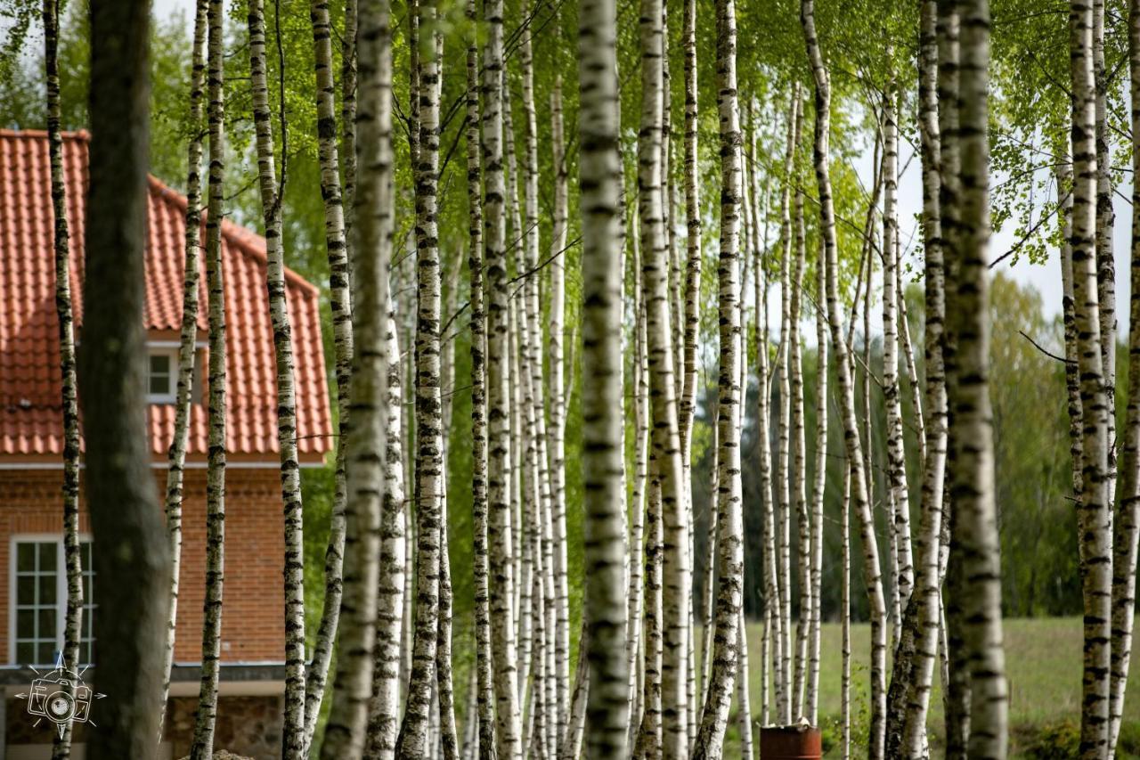 Будинок відпочинку Przystan Piecek *